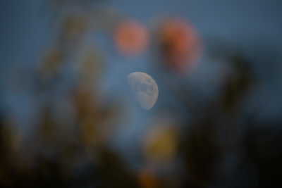 千禧年初的胶片时光